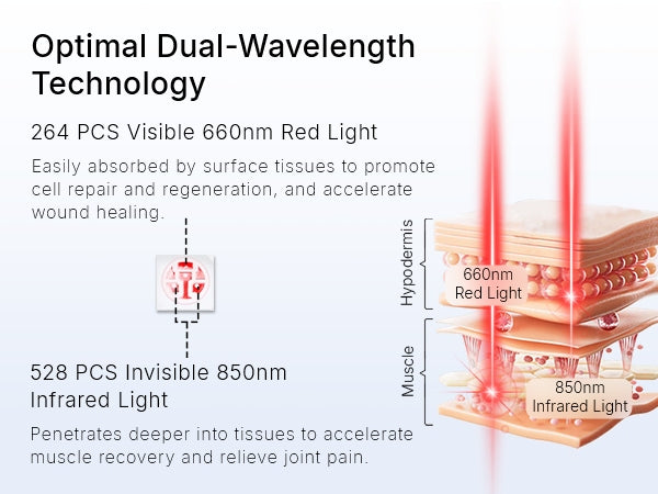 Scientific optical diagram illustrating 660nm red light surface tissue absorption and 850nm near-infrared light deeper penetration on the ELEVAURE body pad.