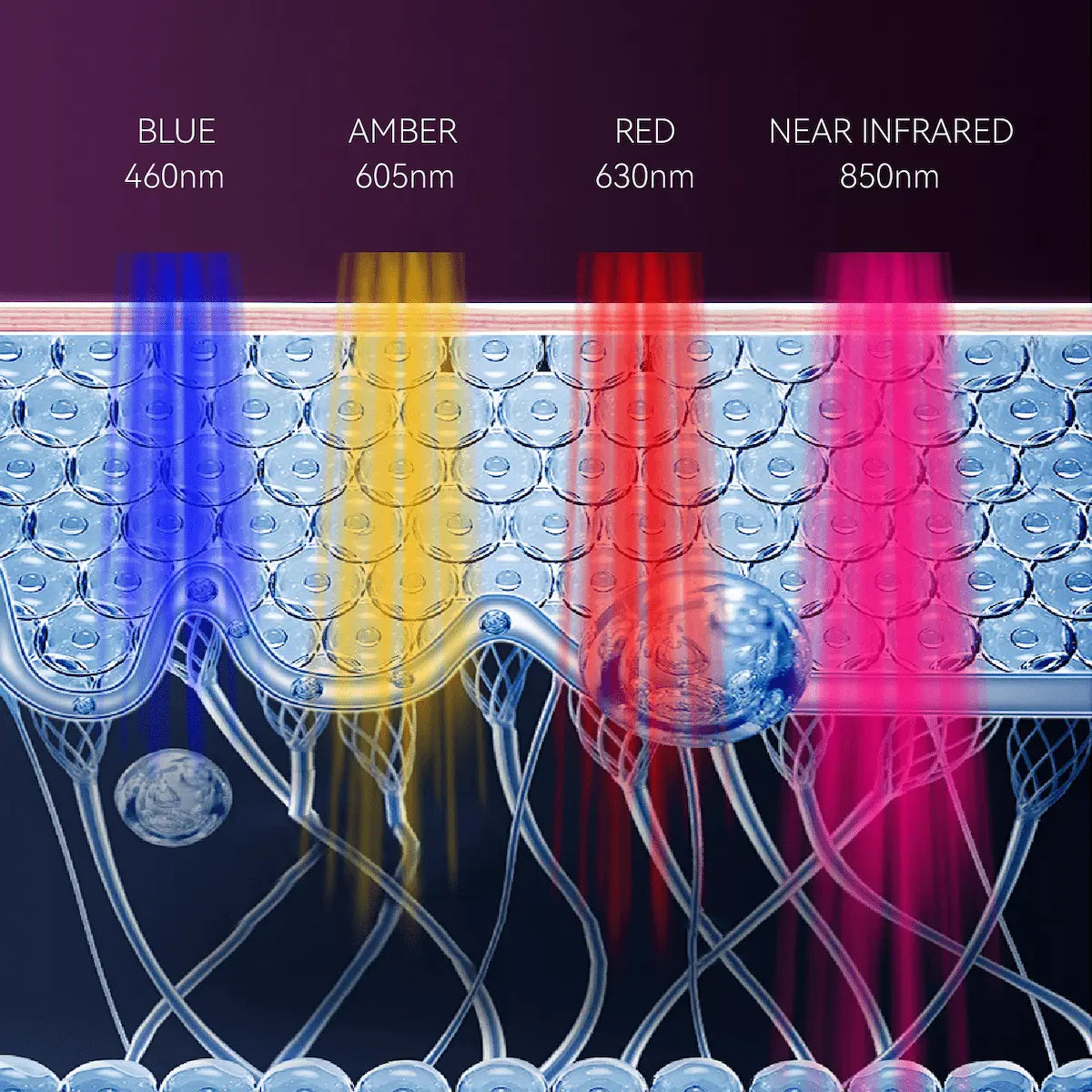 Diagram of 4 targeted LED wavelengths 460nm blue, 605nm amber, 630nm red, and 850nm near infrared penetrating skin layers.